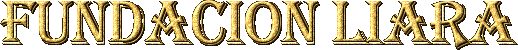 Fundacion Liara